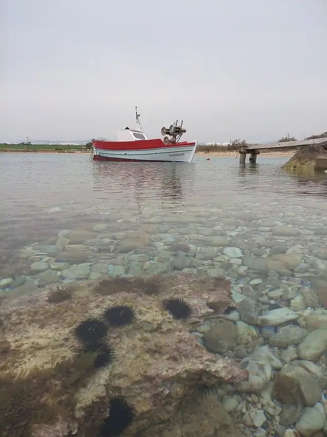 Xifara Beach in Paros, featuring a mixed shoreline with moderate water conditions