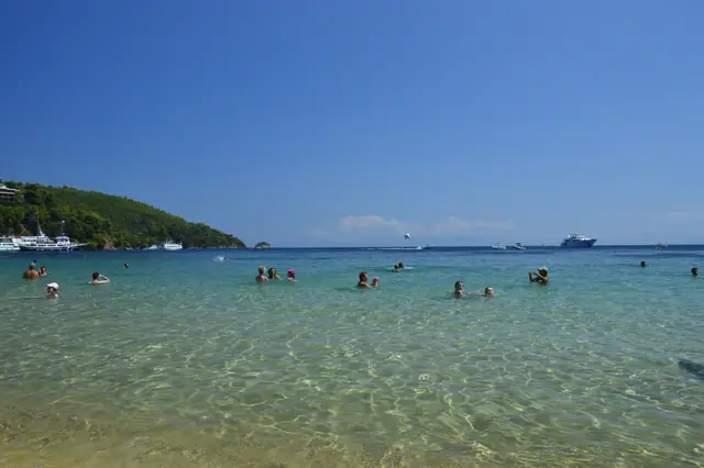 Koukounaries Beach in Skiathos, featuring a sandy shoreline with moderate water conditions, certified with Blue Flag status for environmental quality