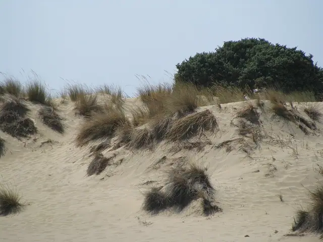 Pyrgaki Beach in Naxos, featuring a sandy shoreline with moderate water conditions