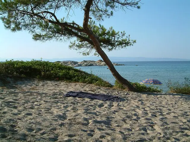 Vourvourou Beach in Chalkidiki, featuring a sandy shoreline with calm water conditions