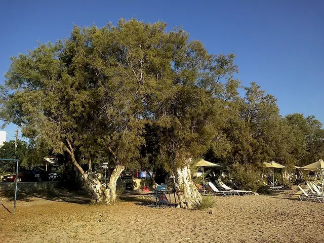 Papikinou Beach in Milos, featuring a mixed shoreline with calm water conditions