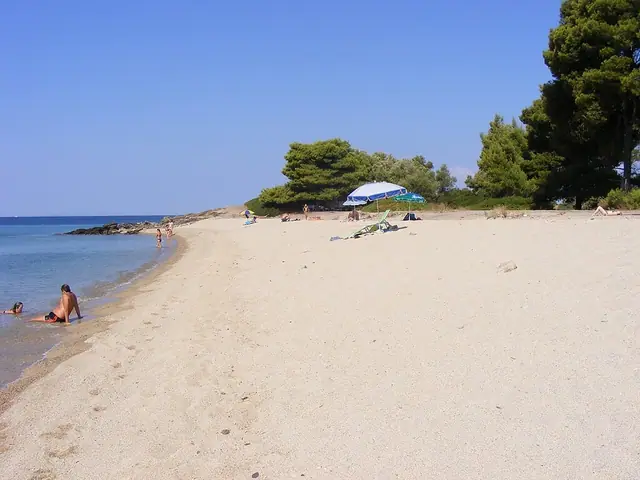 Lagomandra Beach in Chalkidiki, featuring a sandy shoreline with calm water conditions, certified with Blue Flag status for environmental quality