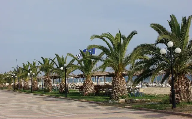 Flogita Beach in Chalkidiki, featuring a sandy shoreline with calm water conditions, certified with Blue Flag status for environmental quality